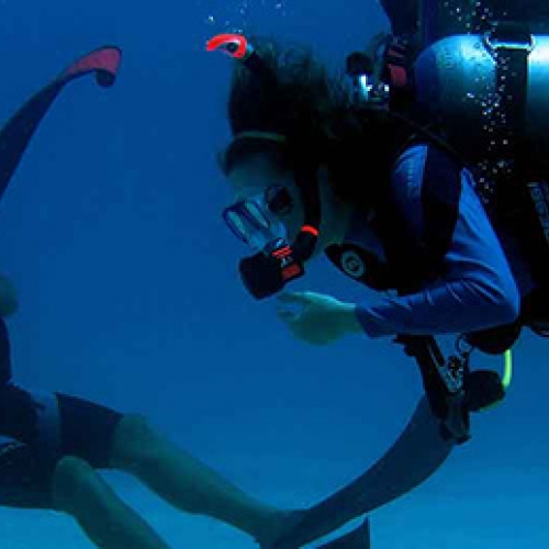 Padi Divemaster Course